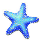 蓝星星