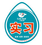 实习贴 新手帖