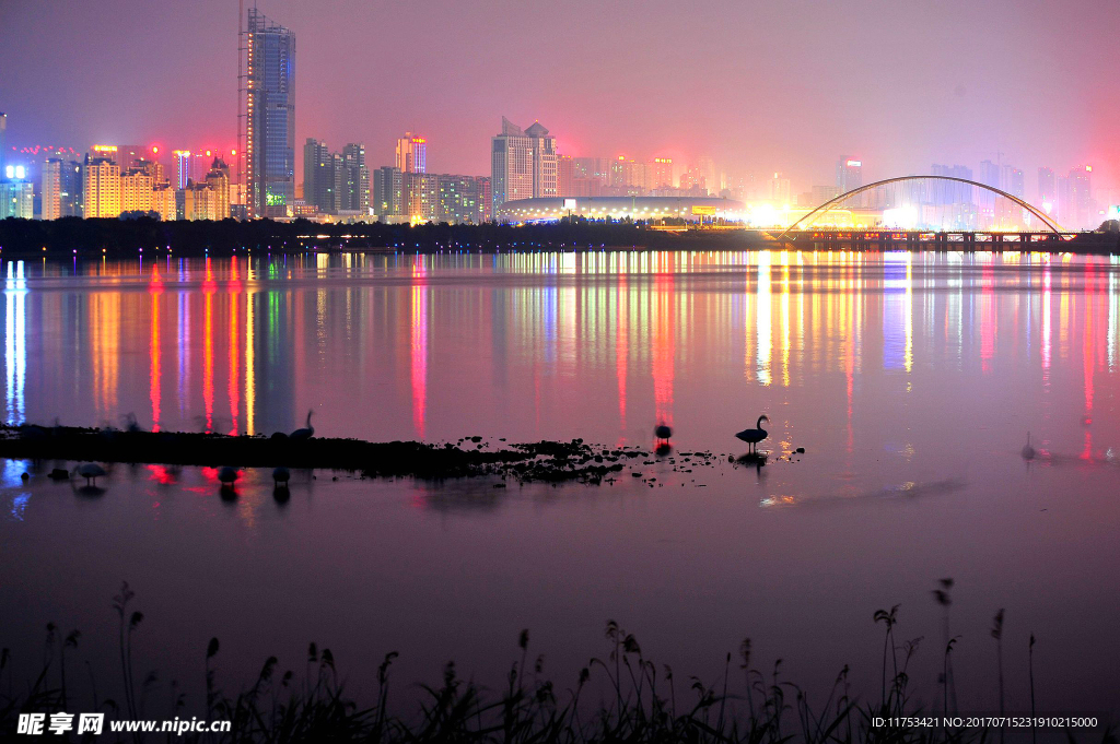 天鹅湖夜景