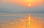 天鹅湖日出