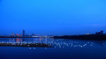 天鹅湖夜景