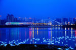 天鹅湖夜景