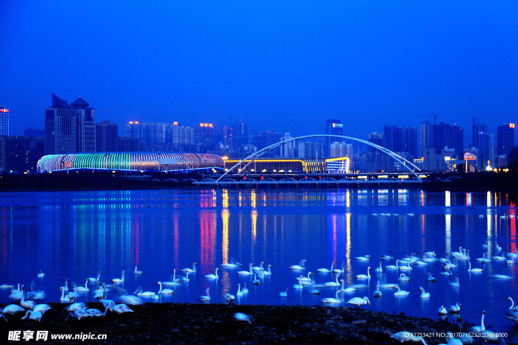 天鹅湖夜景