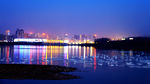 天鹅湖夜景