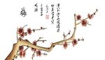 梅花