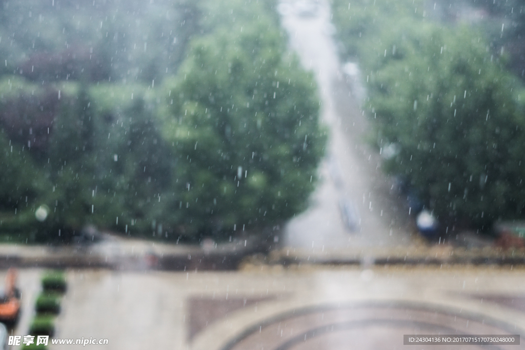 雨中