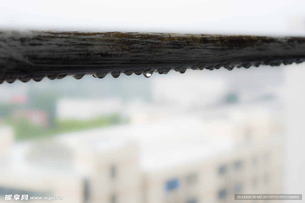雨中