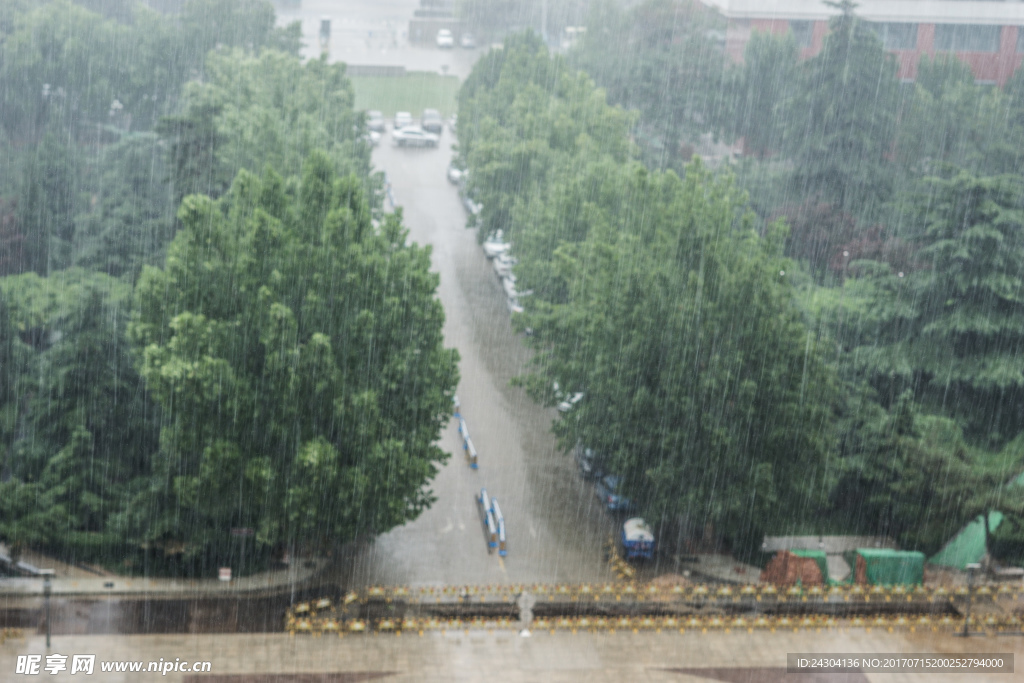雨中