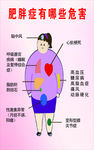 肥胖症的危害