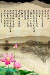 观风雨