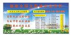文明城市