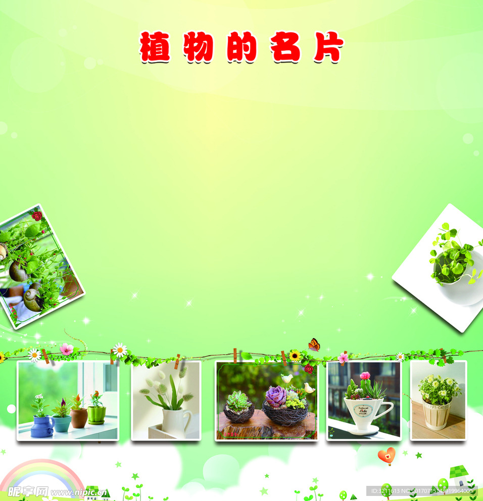 绿色植物
