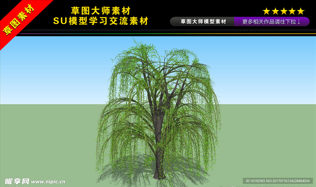 3D柳树SU模型图片