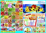 夏季开业