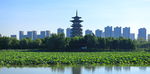 公园高塔