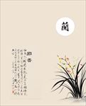 君子兰