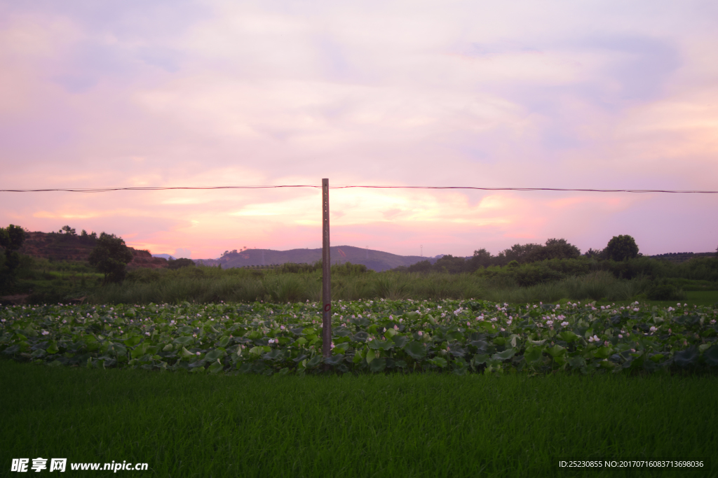 夕阳田野