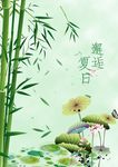绿竹荷花手绘插画