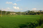 田园风光