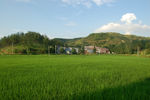 田园风光