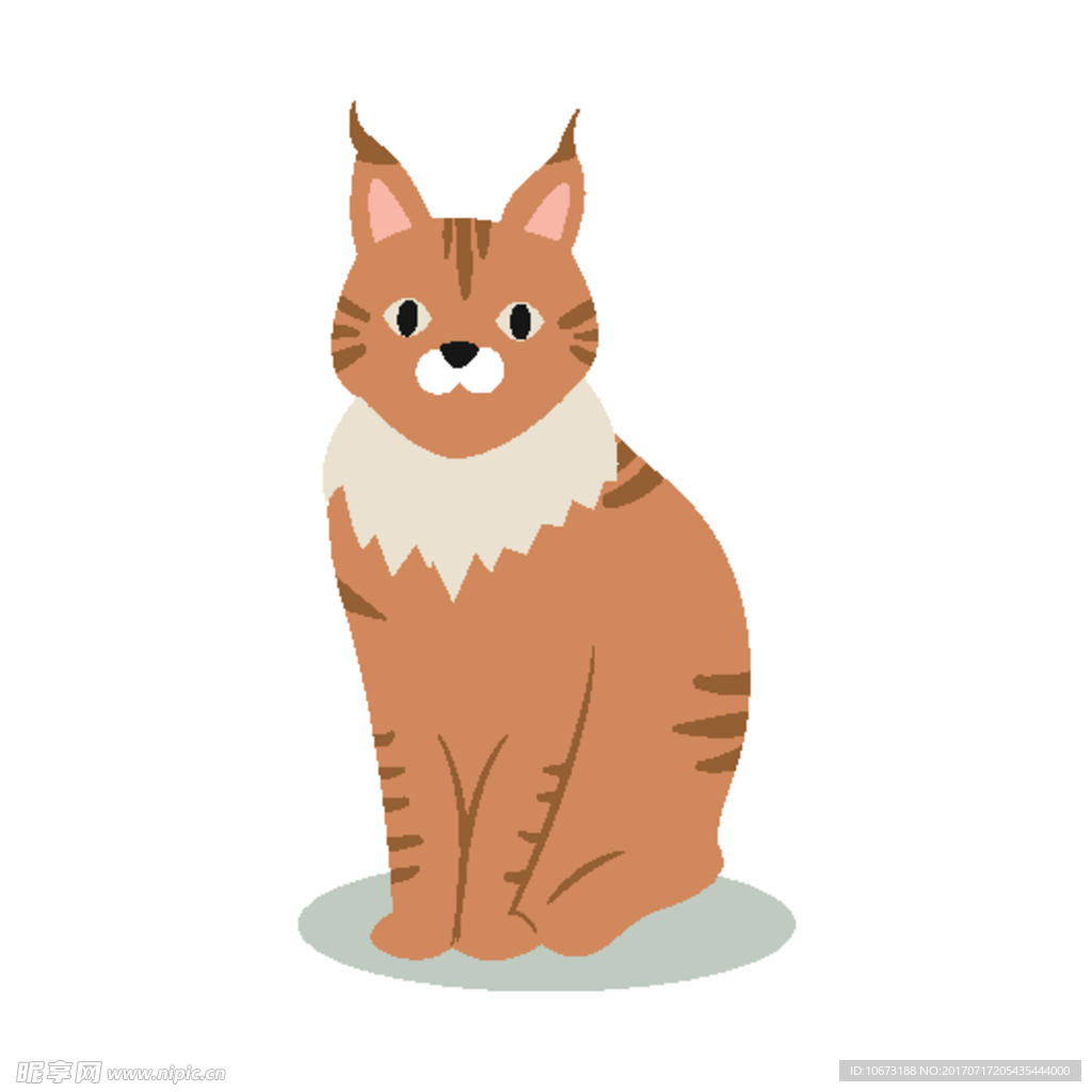 卡通猫