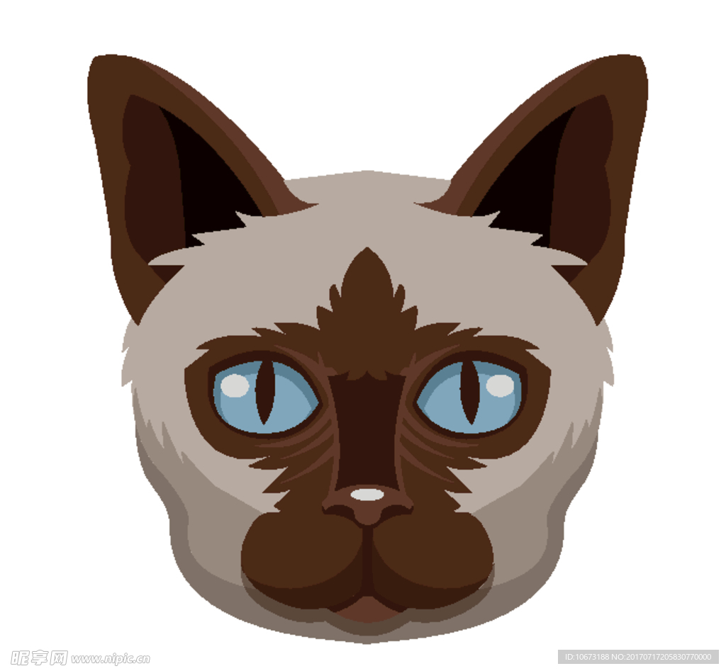卡通猫