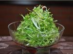 凉拌爽口菜