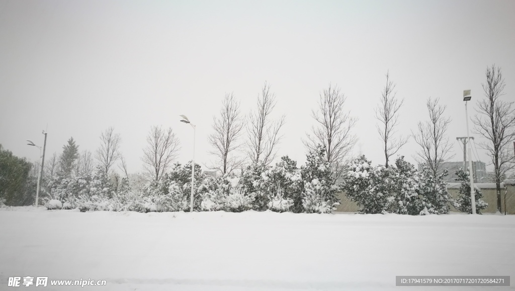 雪景