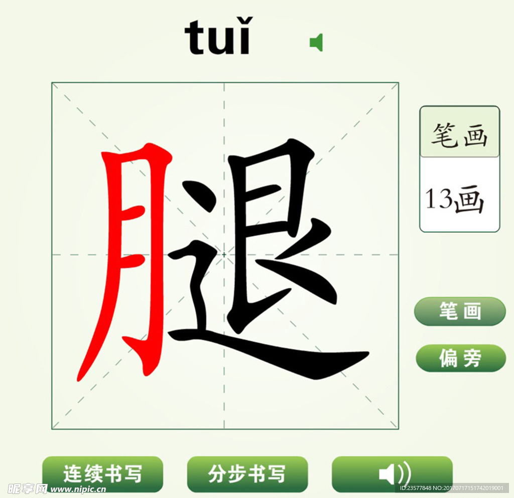 中国汉字腿字笔画教学动画视频