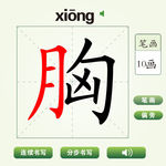 中国汉字胸字笔画教学动画视频