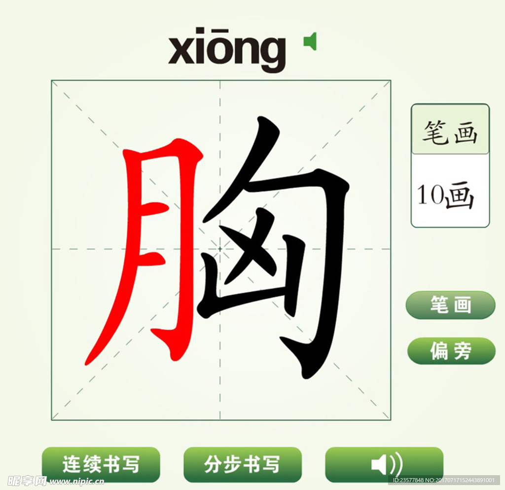 中国汉字胸字笔画教学动画视频