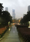 雨中 城市夜景