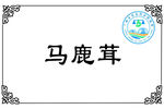 兰州马鹿茸标牌转曲