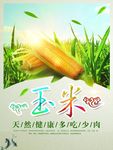 有机新鲜玉米蔬菜促销海报