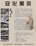 安化黑茶海报