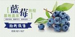 新鲜上市蓝莓海报