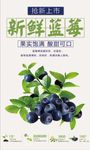 新鲜蓝莓上市海报