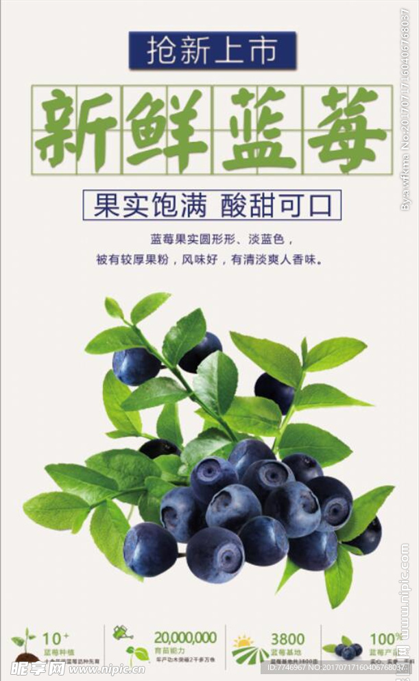 新鲜蓝莓上市海报
