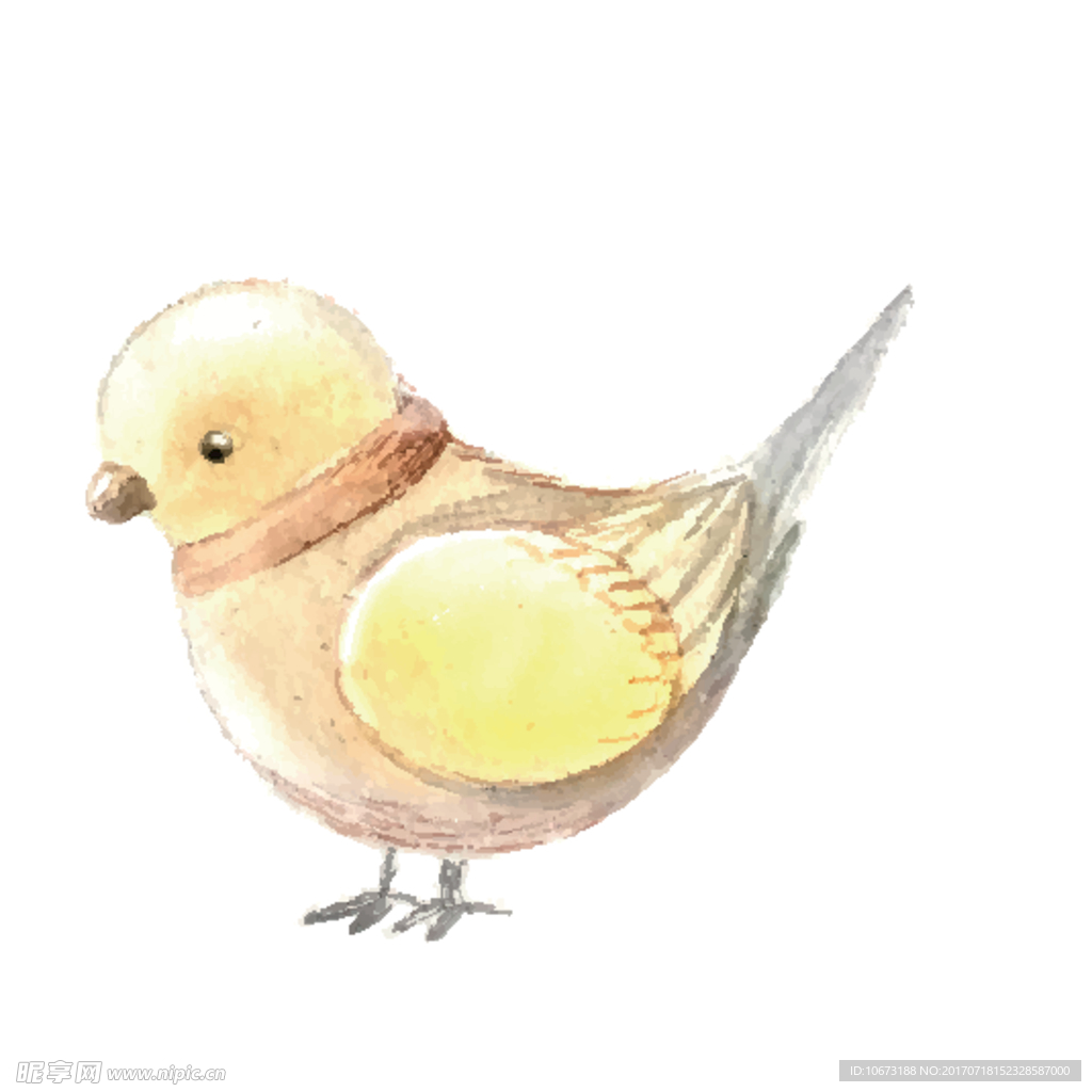 卡通鸟