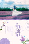 你好八月