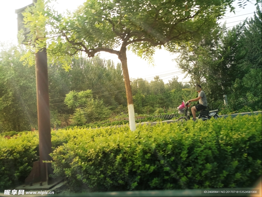 道路