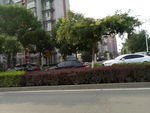 道路