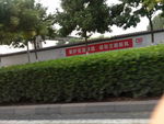 道路绿色