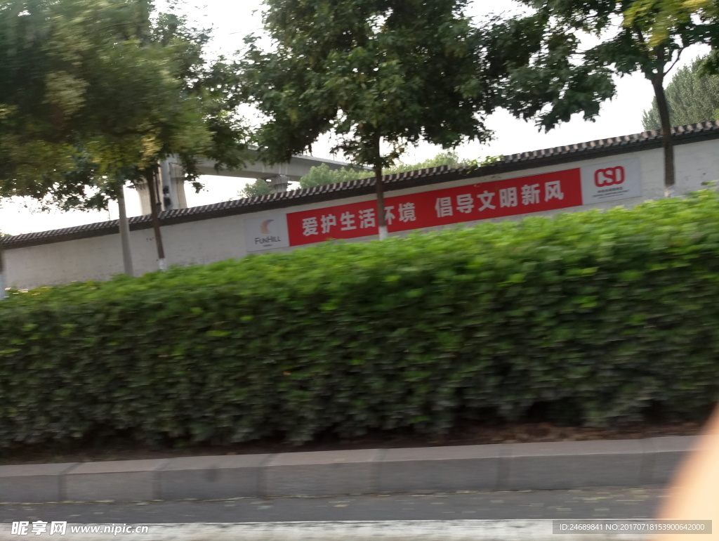 道路绿色