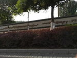 道路绿色