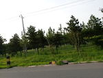 道路