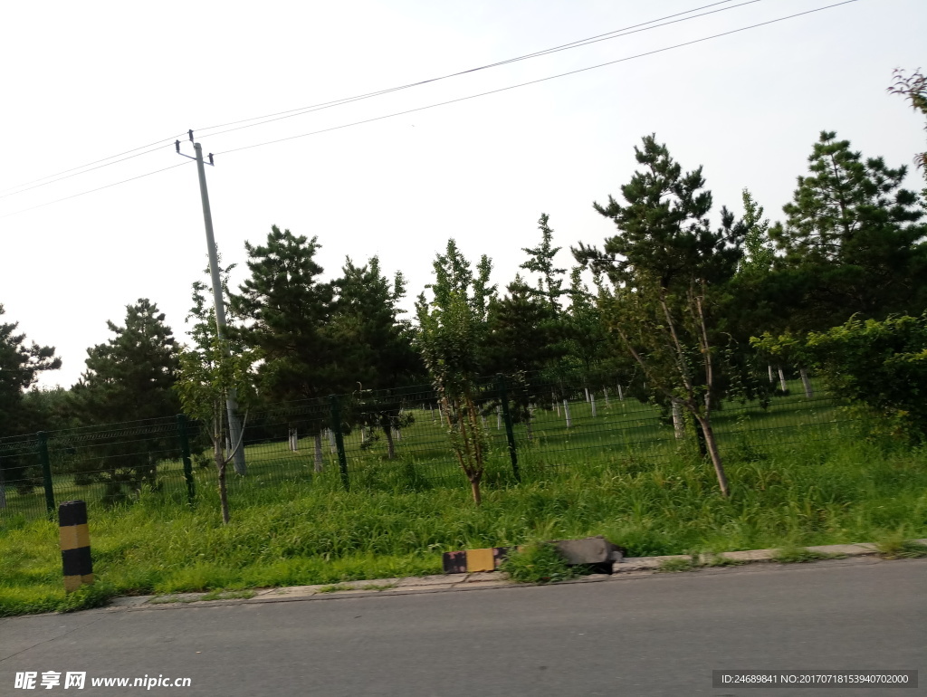 道路