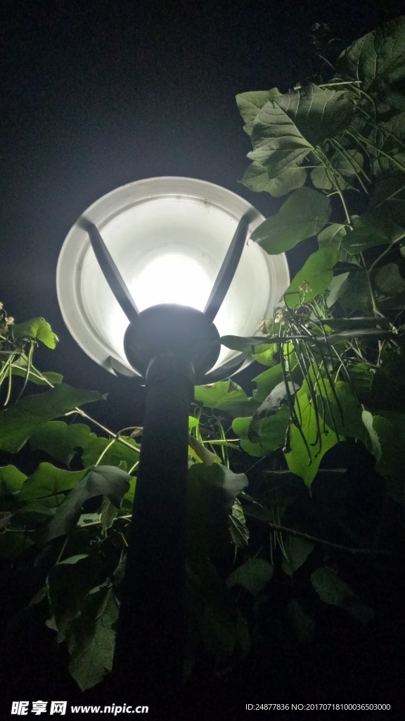 黑夜中的路灯