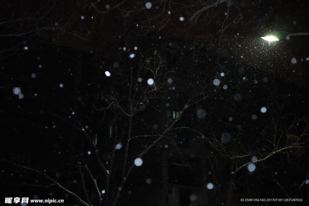 雪夜