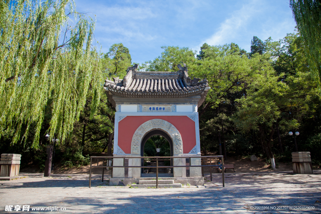 北京大学
